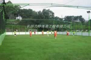 笼式足球场围网(钢结构专业型)